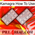 Kamagra How To Use 17